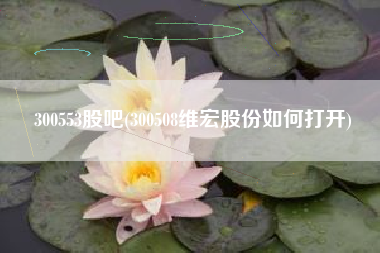 300553股吧(300508维宏股份如何打开)