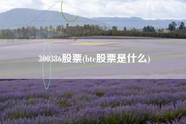 300386股票(btc股票是什么)