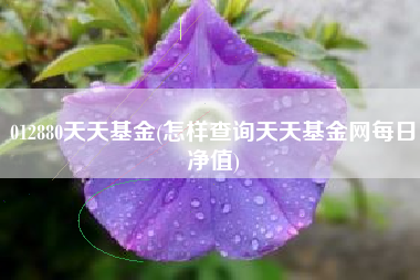 012880天天基金(怎样查询天天基金网每日净值)