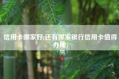 信用卡哪家好(还有哪家银行信用卡值得办理)