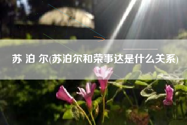 苏 泊 尔(苏泊尔和荣事达是什么关系)