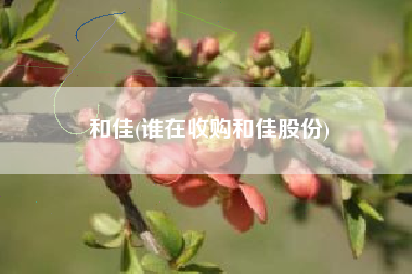 和佳(谁在收购和佳股份)