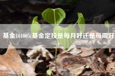 基金161005(基金定投是每月好还是每周好)