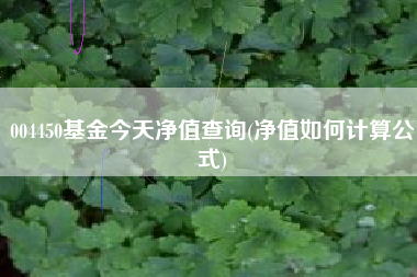 004450基金今天净值查询(净值如何计算公式)