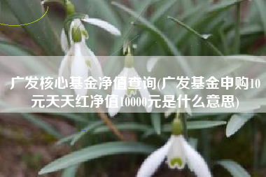 广发核心基金净值查询(广发基金申购10元天天红净值10000元是什么意思)