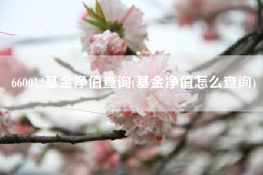 660012基金净值查询(基金净值怎么查询)