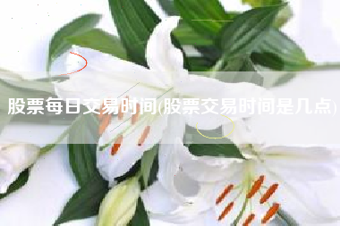股票每日交易时间(股票交易时间是几点)