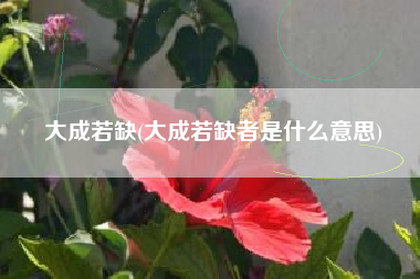 大成若缺(大成若缺者是什么意思)