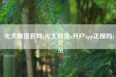 光大期货官网(光大期货e开户app正规吗)