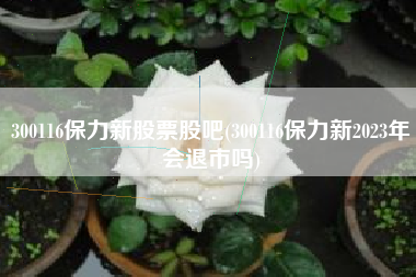 详细阅读:300116保力新股票股吧(300116保力新2023年会退市吗) 300116保力新股票股吧(300116保力新2023年会退市吗)