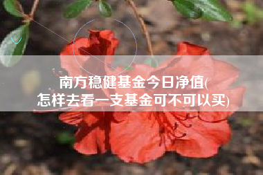 南方稳健基金今日净值(
怎样去看一支基金可不可以买)