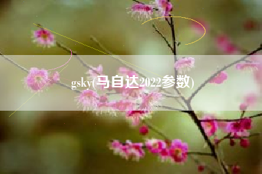 gsky(马自达2022参数)