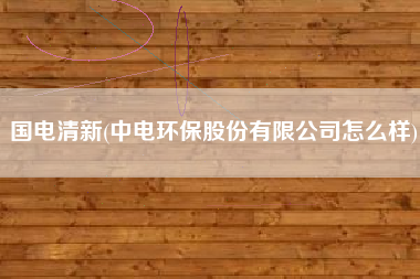 国电清新(中电环保股份有限公司怎么样)