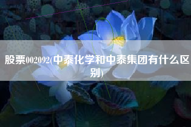 股票002092(中泰化学和中泰集团有什么区别)