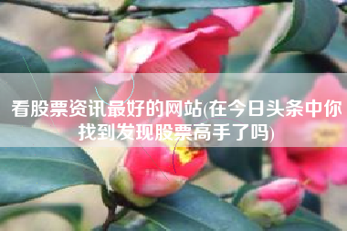 看股票资讯最好的网站(在今日头条中你找到发现股票高手了吗)