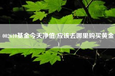 002610基金今天净值(应该去哪里购买黄金)