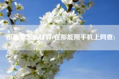 市盈率怎么计算(在那能用手机上网查)