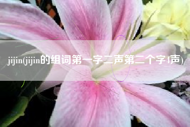 jijin(jijin的组词第一字二声第二个字4声)