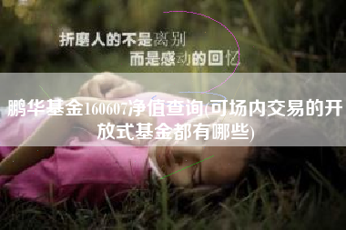 鹏华基金160607净值查询(可场内交易的开放式基金都有哪些)