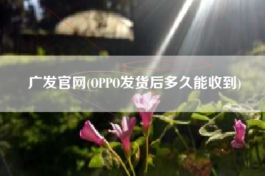 广发官网(OPPO发货后多久能收到)