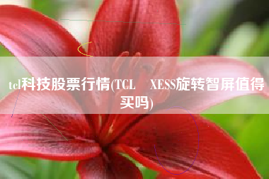 tcl科技股票行情(TCL•XESS旋转智屏值得买吗)