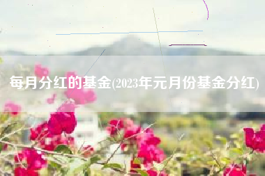 每月分红的基金(2023年元月份基金分红)