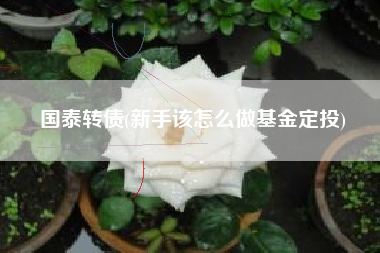 国泰转债(新手该怎么做基金定投)