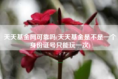 天天基金网可靠吗(天天基金是不是一个身份证号只能玩一次)