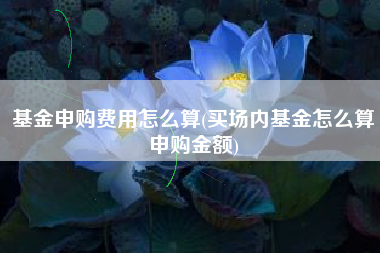 基金申购费用怎么算(买场内基金怎么算申购金额)