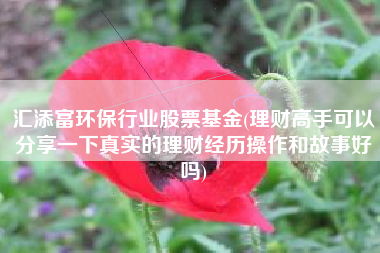 汇添富环保行业股票基金(理财高手可以分享一下真实的理财经历操作和故事好吗)