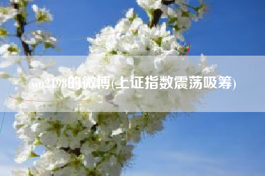 wu2198的微博(上证指数震荡吸筹)