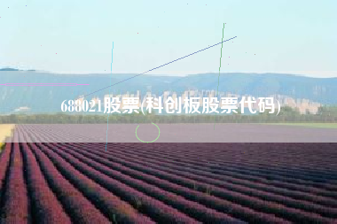 688021股票(科创板股票代码)