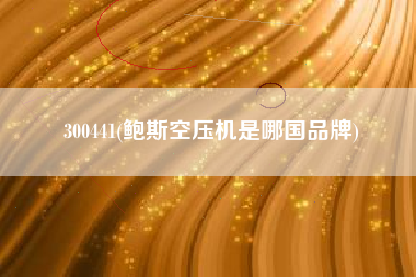 300441(鲍斯空压机是哪国品牌)