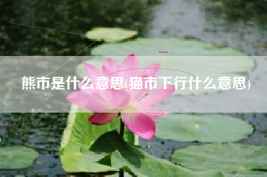 熊市是什么意思(猫市下行什么意思)