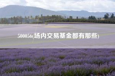 500056(场内交易基金都有那些)