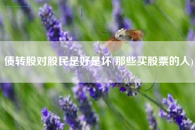债转股对股民是好是坏(那些买股票的人)
