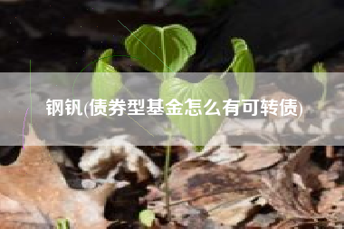 钢钒(债券型基金怎么有可转债)