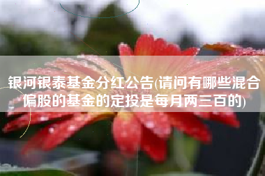 银河银泰基金分红公告(请问有哪些混合偏股的基金的定投是每月两三百的)