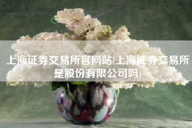 详细阅读:上海证券交易所官网站(上海证券交易所是股份有限公司吗) 上海证券交易所官网站(上海证券交易所是股份有限公司吗)