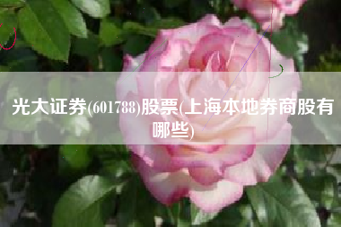 详细阅读:光大证券(601788)股票(上海本地券商股有哪些) 光大证券(601788)股票(上海本地券商股有哪些)