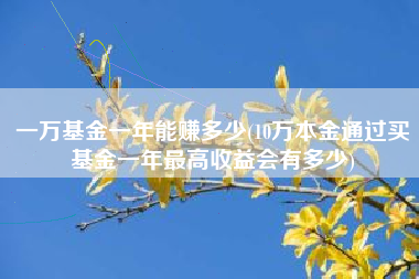 详细阅读:一万基金一年能赚多少(10万本金通过买基金一年最高收益会有多少) 一万基金一年能赚多少(10万本金通过买基金一年最高收益会有多少)