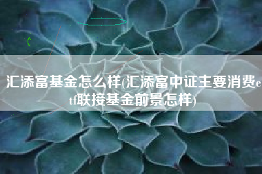 详细阅读:汇添富基金怎么样(汇添富中证主要消费etf联接基金前景怎样) 汇添富基金怎么样(汇添富中证主要消费etf联接基金前景怎样)