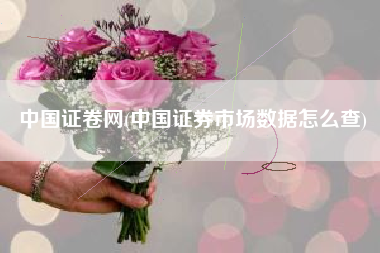 详细阅读:中国证卷网(中国证券市场数据怎么查) 中国证卷网(中国证券市场数据怎么查)