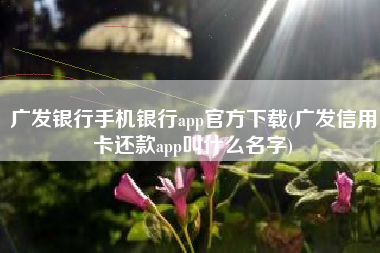 详细阅读:广发银行手机银行app官方下载(广发信用卡还款app叫什么名字) 广发银行手机银行app官方下载(广发信用卡还款app叫什么名字)