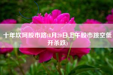 详细阅读:十年坎坷股市路(8月20日上午股市跳空低开杀跌) 十年坎坷股市路(8月20日上午股市跳空低开杀跌)