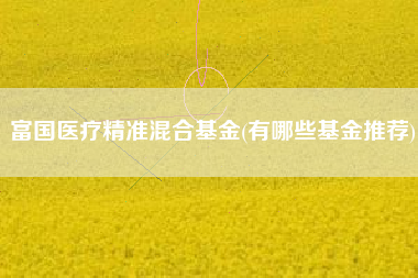 详细阅读:富国医疗精准混合基金(有哪些基金推荐) 富国医疗精准混合基金(有哪些基金推荐)