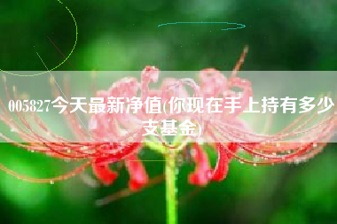 详细阅读:005827今天最新净值(你现在手上持有多少支基金) 005827今天最新净值(你现在手上持有多少支基金)