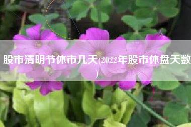 详细阅读:股市清明节休市几天(2022年股市休盘天数) 股市清明节休市几天(2022年股市休盘天数)