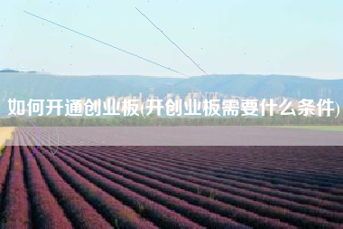 详细阅读:如何开通创业板(开创业板需要什么条件) 如何开通创业板(开创业板需要什么条件)