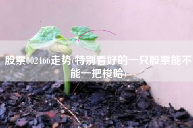 详细阅读:股票002466走势(特别看好的一只股票能不能一把梭哈) 股票002466走势(特别看好的一只股票能不能一把梭哈)